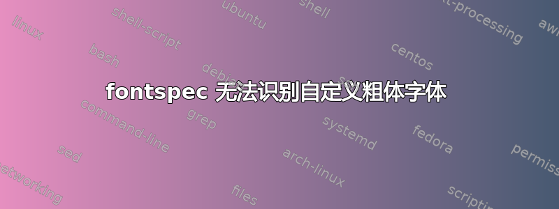 fontspec 无法识别自定义粗体字体