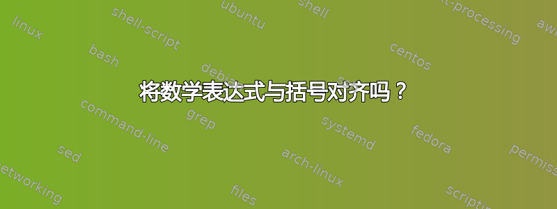 将数学表达式与括号对齐吗？