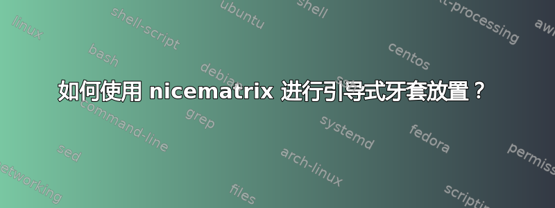 如何使用 nicematrix 进行引导式牙套放置？