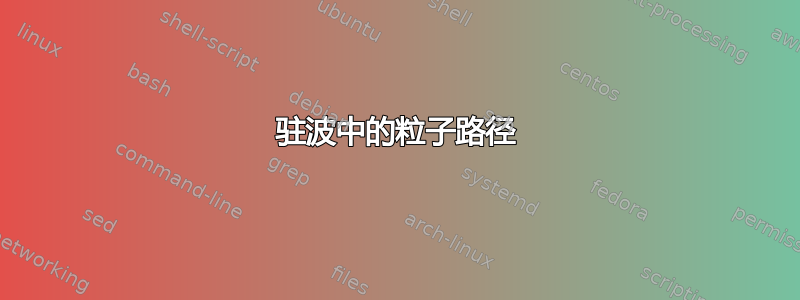 驻波中的粒子路径