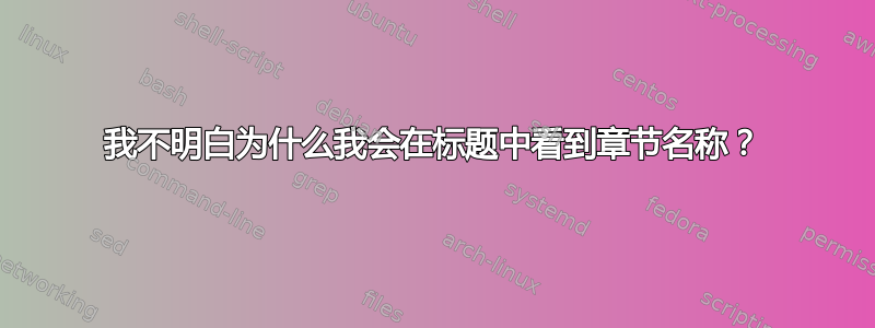 我不明白为什么我会在标题中看到章节名称？