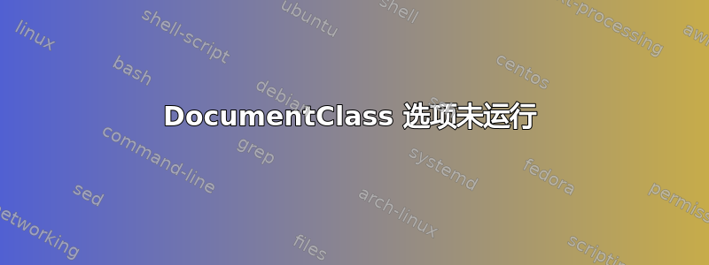 DocumentClass 选项未运行