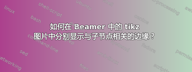 如何在 Beamer 中的 tikz 图片中分别显示与子节点相关的边缘？