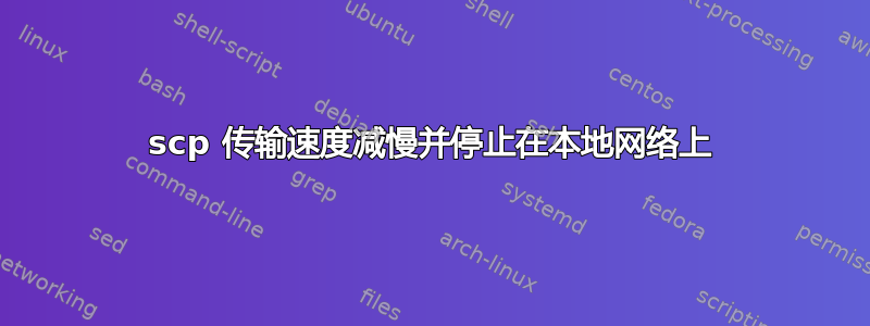 scp 传输速度减慢并停止在本地网络上