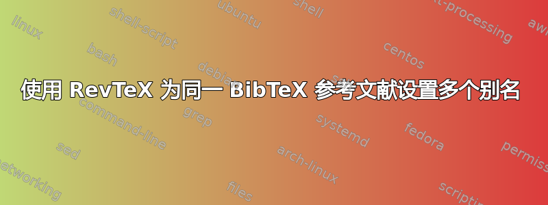 使用 RevTeX 为同一 BibTeX 参考文献设置多个别名