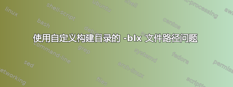 使用自定义构建目录的 -blx 文件路径问题