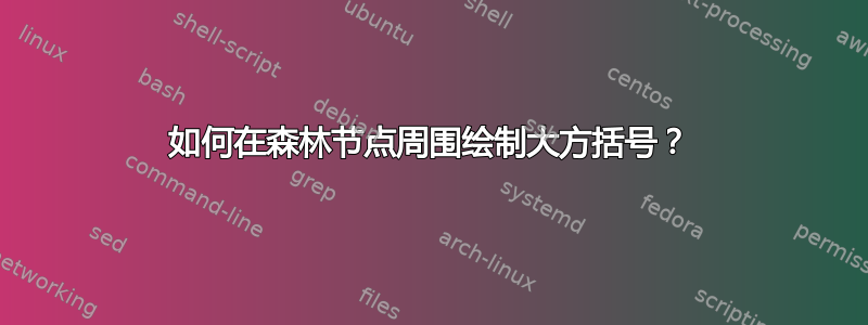 如何在森林节点周围绘制大方括号？