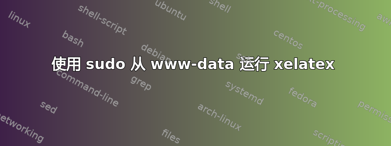 使用 sudo 从 www-data 运行 xelatex