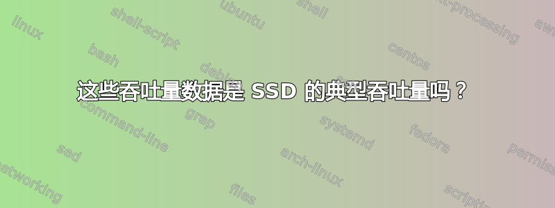 这些吞吐量数据是 SSD 的典型吞吐量吗？