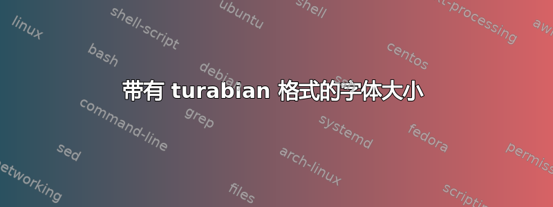 带有 turabian 格式的字体大小