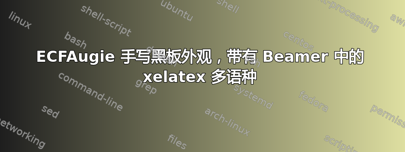 ECFAugie 手写黑板外观，带有 Beamer 中的 xelatex 多语种