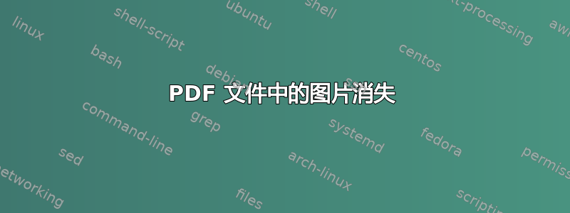 PDF 文件中的图片消失