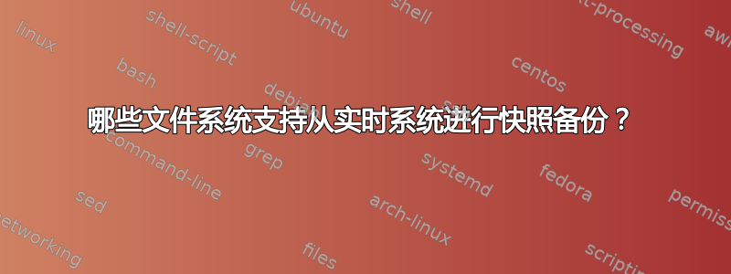 哪些文件系统支持从实时系统进行快照备份？