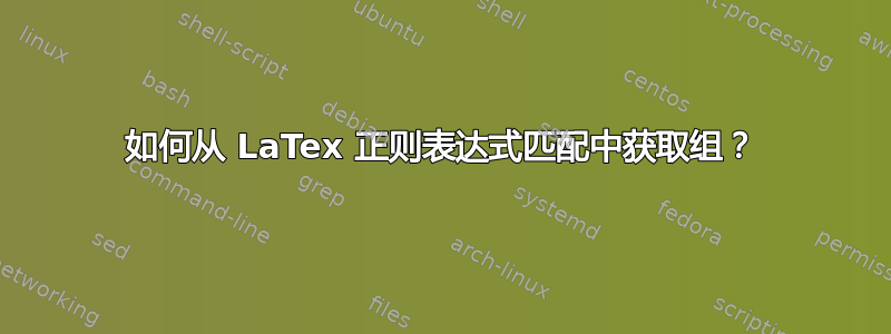 如何从 LaTex 正则表达式匹配中获取组？