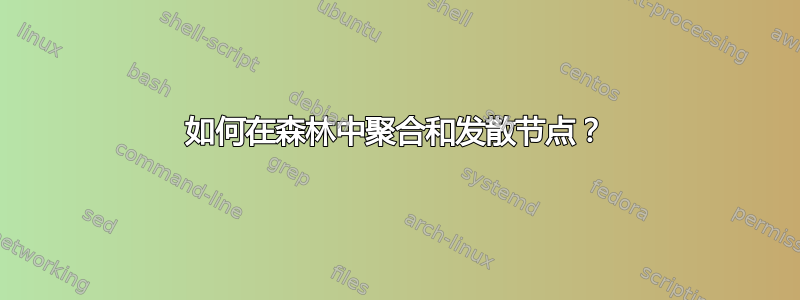 如何在森林中聚合和发散节点？