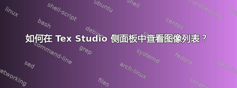 如何在 Tex Studio 侧面板中查看图像列表？