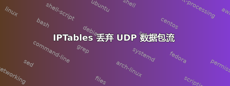 IPTables 丢弃 UDP 数据包流