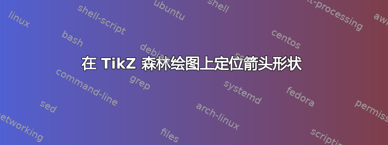 在 TikZ 森林绘图上定位箭头形状