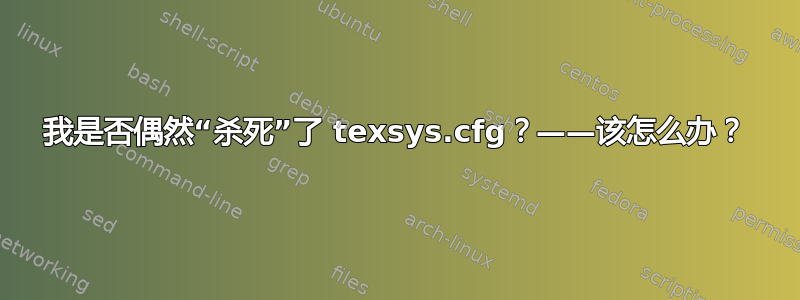 我是否偶然“杀死”了 texsys.cfg？——该怎么办？