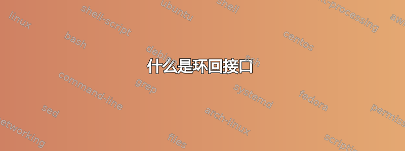 什么是环回接口