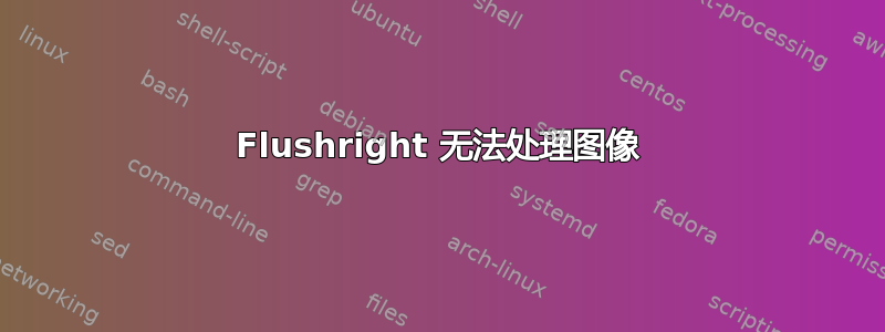 Flushright 无法处理图像