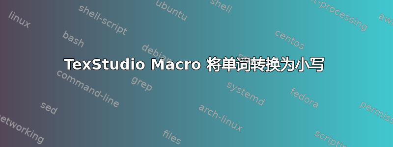 TexStudio Macro 将单词转换为小写