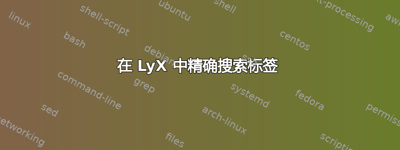 在 LyX 中精确搜索标签