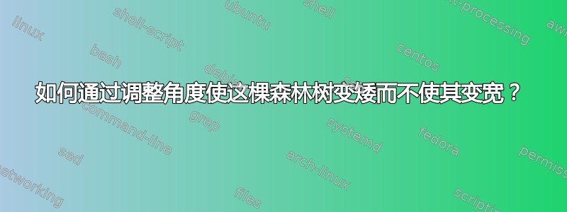 如何通过调整角度使这棵森林树变矮而不使其变宽？