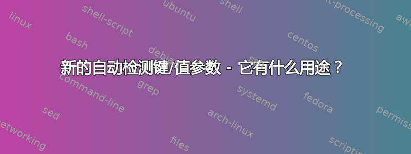 新的自动检测键/值参数 - 它有什么用途？