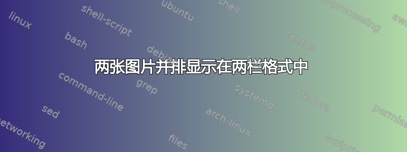 两张图片并排显示在两栏格式中