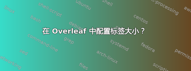 在 Overleaf 中配置标签大小？