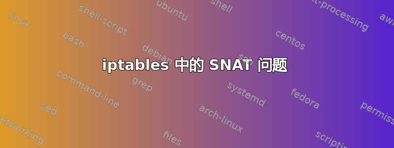 iptables 中的 SNAT 问题