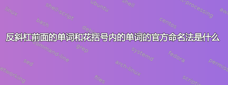 反斜杠前面的单词和花括号内的单词的官方命名法是什么