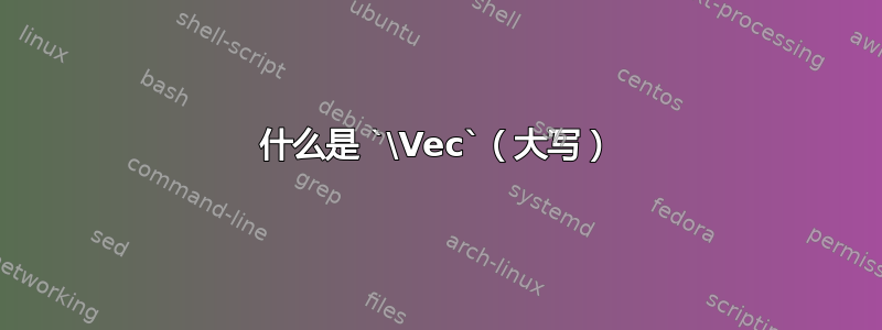 什么是 `\Vec`（大写）