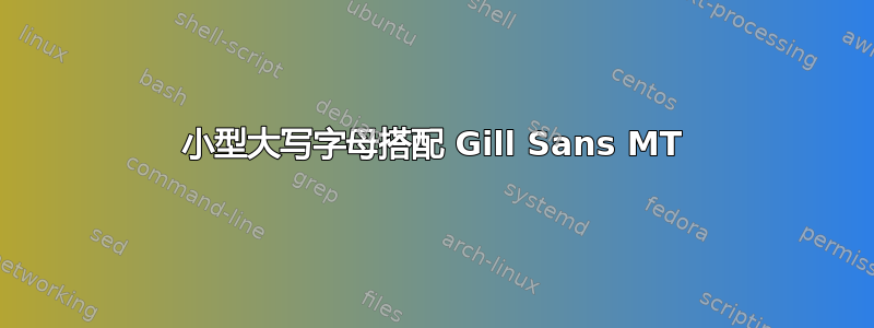 小型大写字母搭配 Gill Sans MT