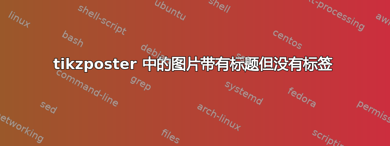 tikzposter 中的图片带有标题但没有标签