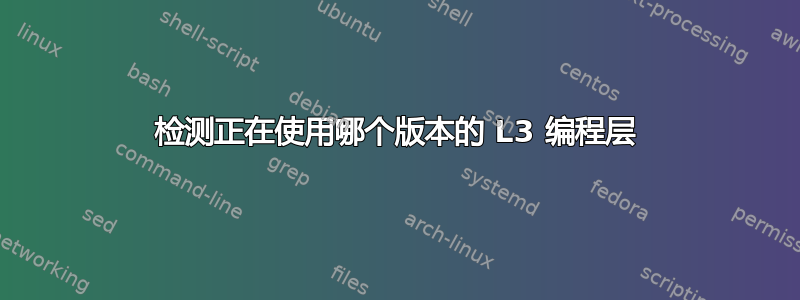 检测正在使用哪个版本的 L3 编程层