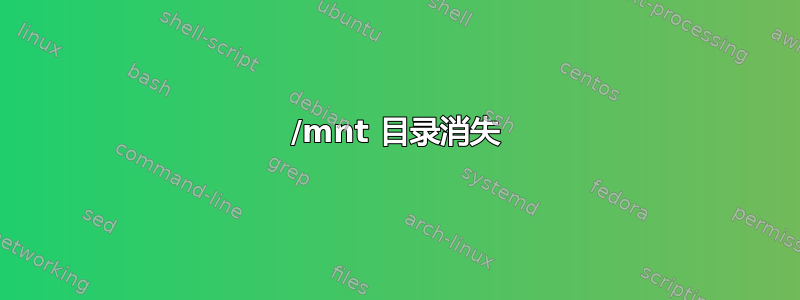 /mnt 目录消失