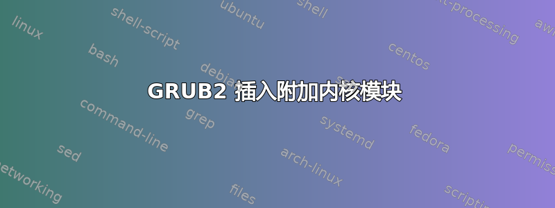 GRUB2 插入附加内核模块