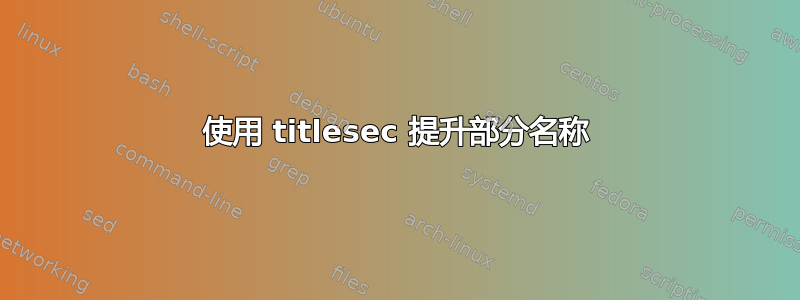 使用 titlesec 提升部分名称