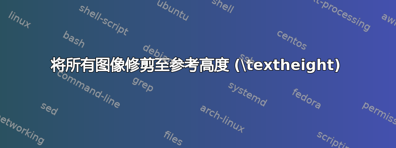 将所有图像修剪至参考高度 (\textheight)