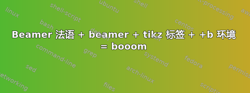 Beamer 法语 + beamer + tikz 标签 + +b 环境 = booom