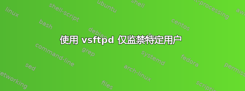 使用 vsftpd 仅监禁特定用户