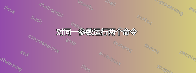 对同一参数运行两个命令