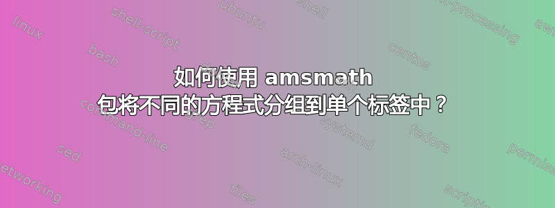 如何使用 amsmath 包将不同的方程式分组到单个标签中？