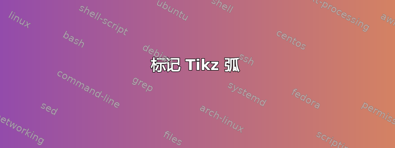 标记 Tikz 弧