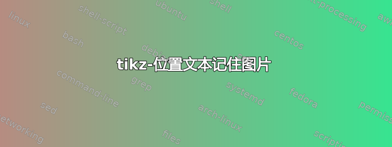 tikz-位置文本记住图片