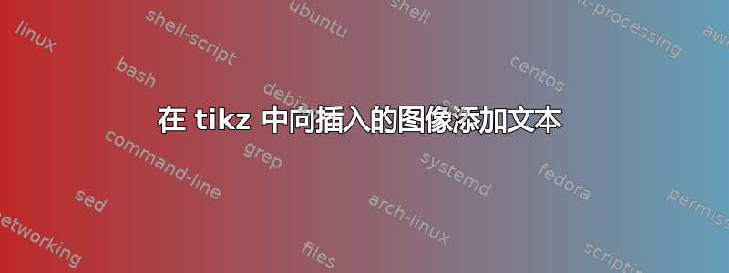 在 tikz 中向插入的图像添加文本