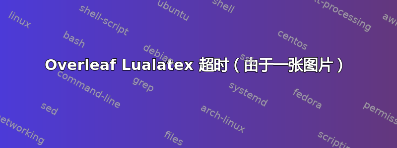 Overleaf Lualatex 超时（由于一张图片）