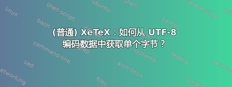 (普通) XeTeX：如何从 UTF-8 编码数据中获取单个字节？